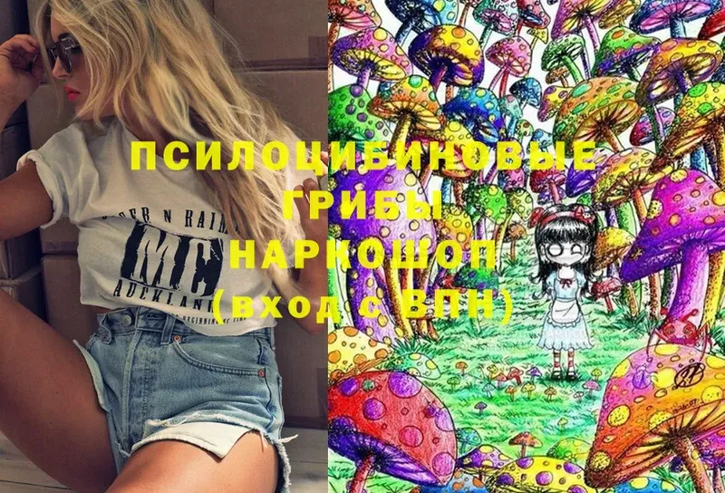 Псилоцибиновые грибы MAGIC MUSHROOMS  даркнет сайт  Ветлуга 